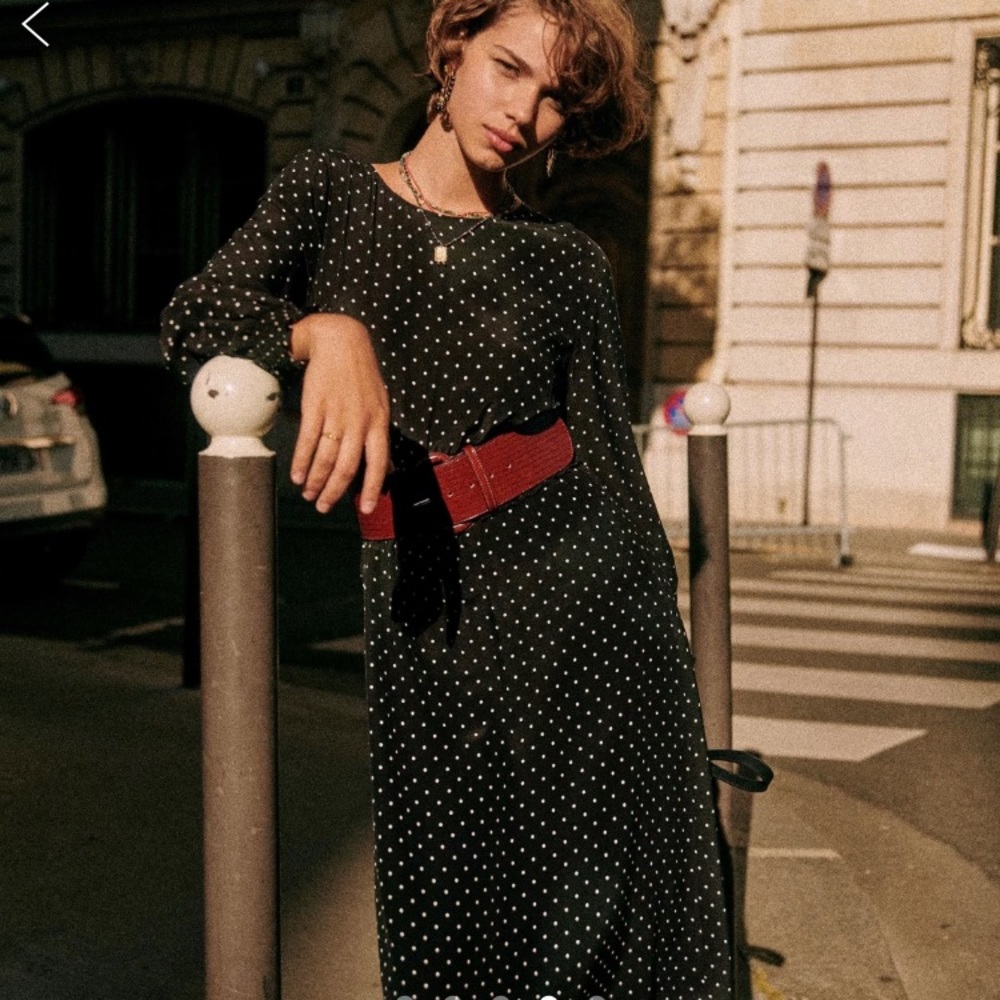 Sezane Louisa Dress Size 34